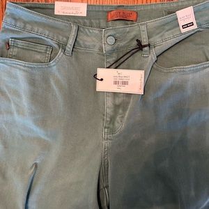 Judy Blue Sea Green Jeans